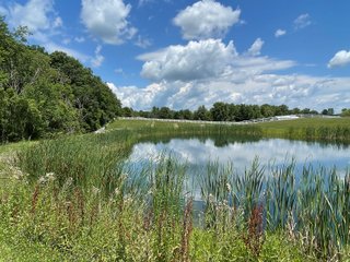 Property photo 49 - LIVE ONSITE REAL ESTATE AUCTION - 11.8+/- ACRES - NOBLE COUNTY, IN