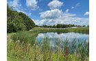 Property photo 49 - LIVE ONSITE REAL ESTATE AUCTION - 11.8+/- ACRES - NOBLE COUNTY, IN