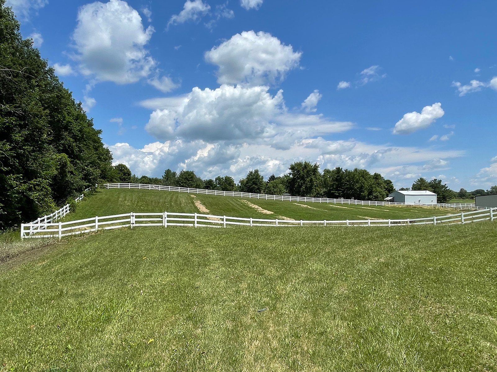 Property photo 50 - LIVE ONSITE REAL ESTATE AUCTION - 11.8+/- ACRES - NOBLE COUNTY, IN