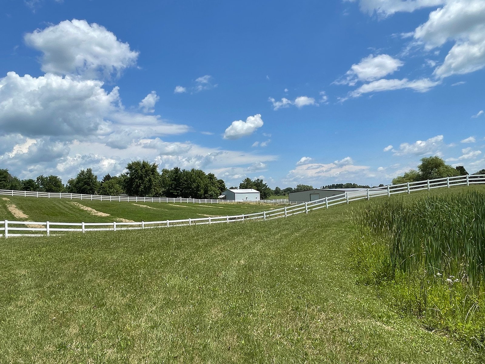 Property photo 51 - LIVE ONSITE REAL ESTATE AUCTION - 11.8+/- ACRES - NOBLE COUNTY, IN