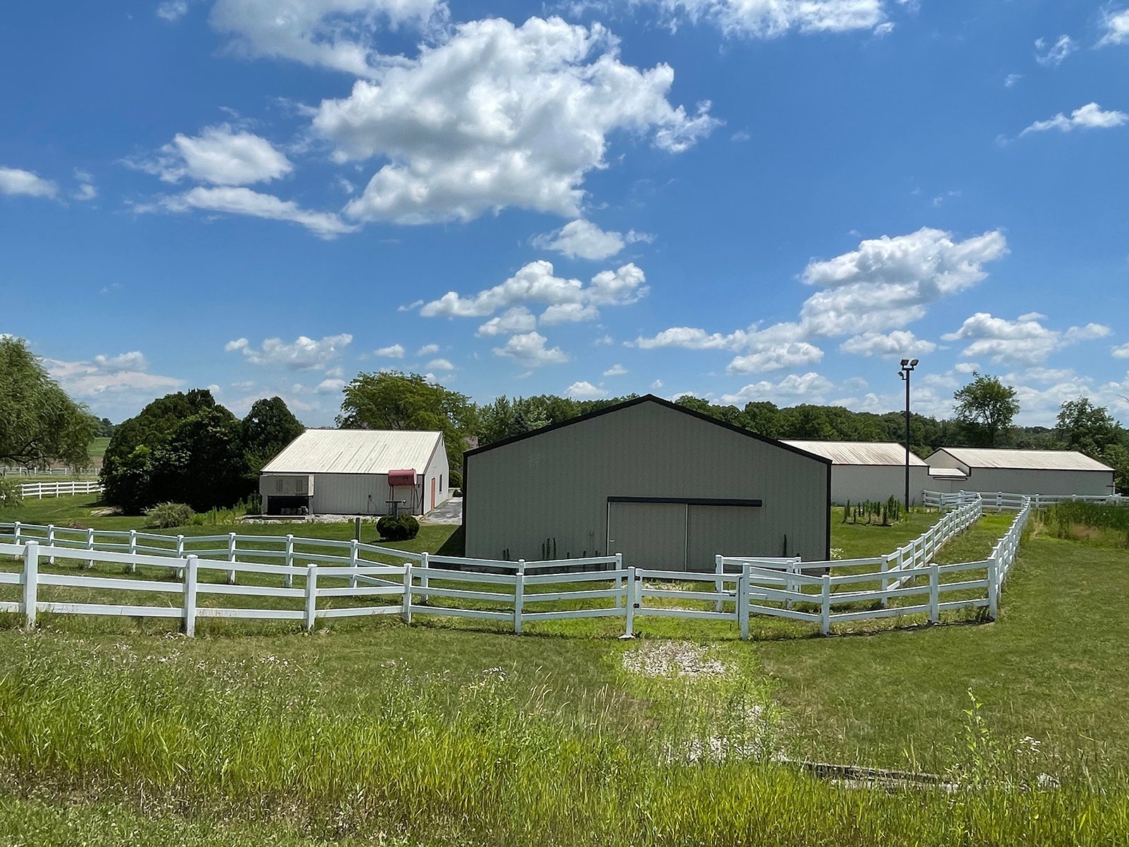 Property photo 52 - LIVE ONSITE REAL ESTATE AUCTION - 11.8+/- ACRES - NOBLE COUNTY, IN