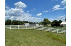 Property photo 53 - LIVE ONSITE REAL ESTATE AUCTION - 11.8+/- ACRES - NOBLE COUNTY, IN