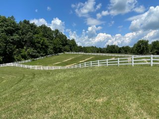 Property photo 54 - LIVE ONSITE REAL ESTATE AUCTION - 11.8+/- ACRES - NOBLE COUNTY, IN