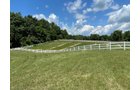 Property photo 54 - LIVE ONSITE REAL ESTATE AUCTION - 11.8+/- ACRES - NOBLE COUNTY, IN