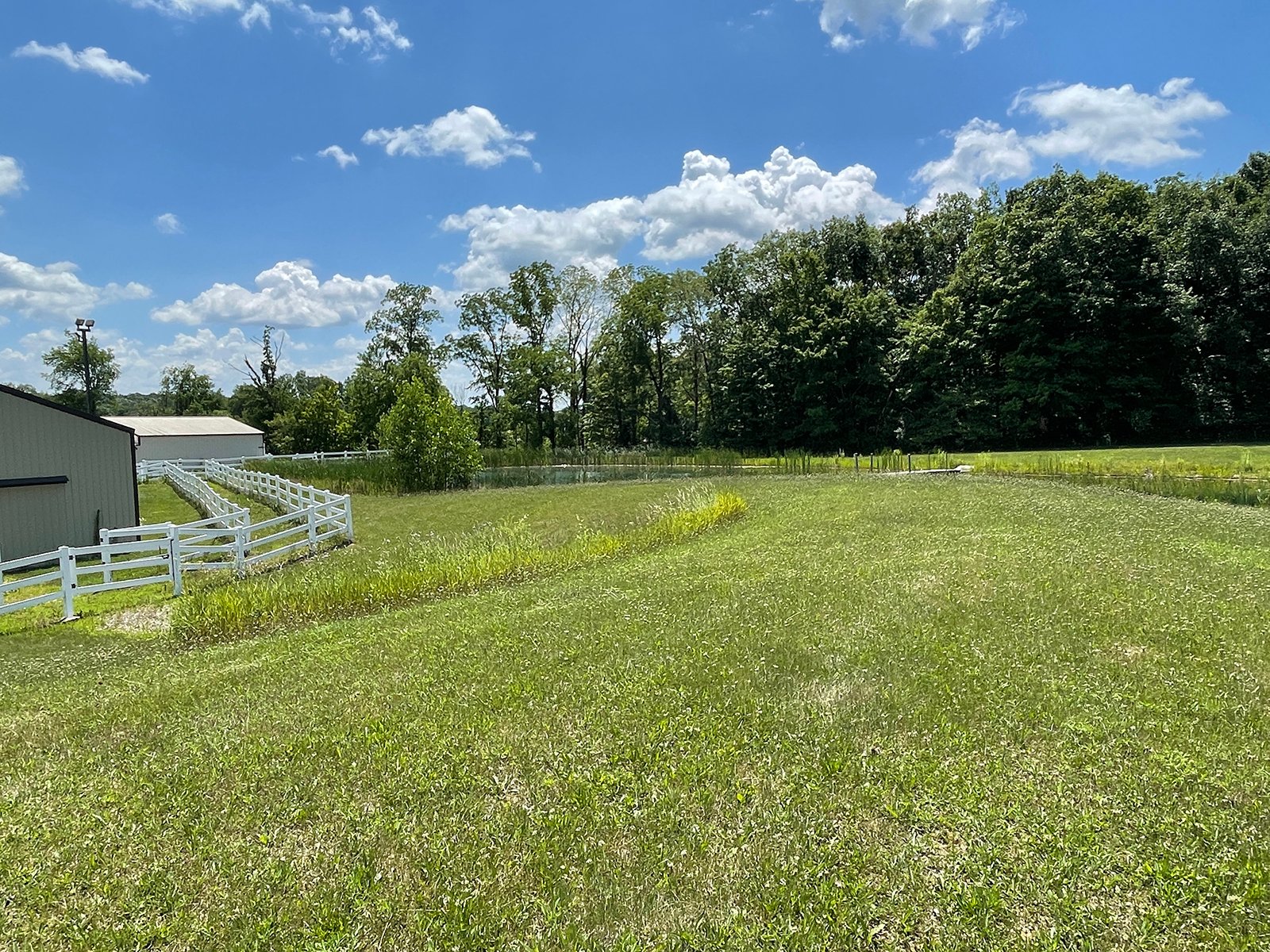 Property photo 55 - LIVE ONSITE REAL ESTATE AUCTION - 11.8+/- ACRES - NOBLE COUNTY, IN