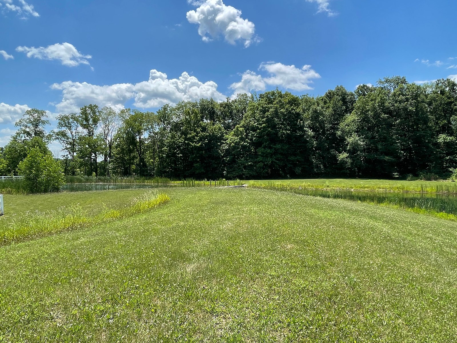Property photo 57 - LIVE ONSITE REAL ESTATE AUCTION - 11.8+/- ACRES - NOBLE COUNTY, IN