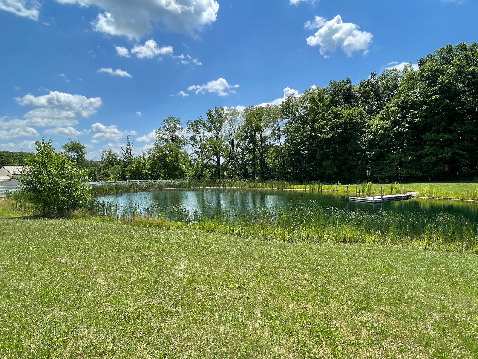 Property photo 58 - LIVE ONSITE REAL ESTATE AUCTION - 11.8+/- ACRES - NOBLE COUNTY, IN