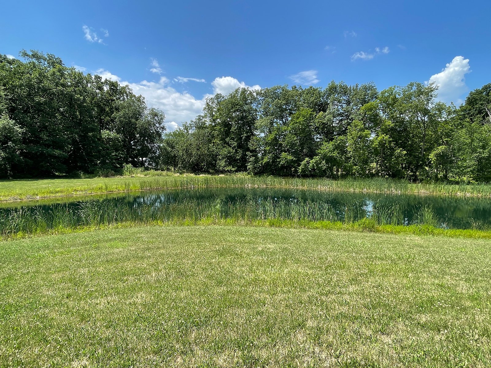 Property photo 59 - LIVE ONSITE REAL ESTATE AUCTION - 11.8+/- ACRES - NOBLE COUNTY, IN