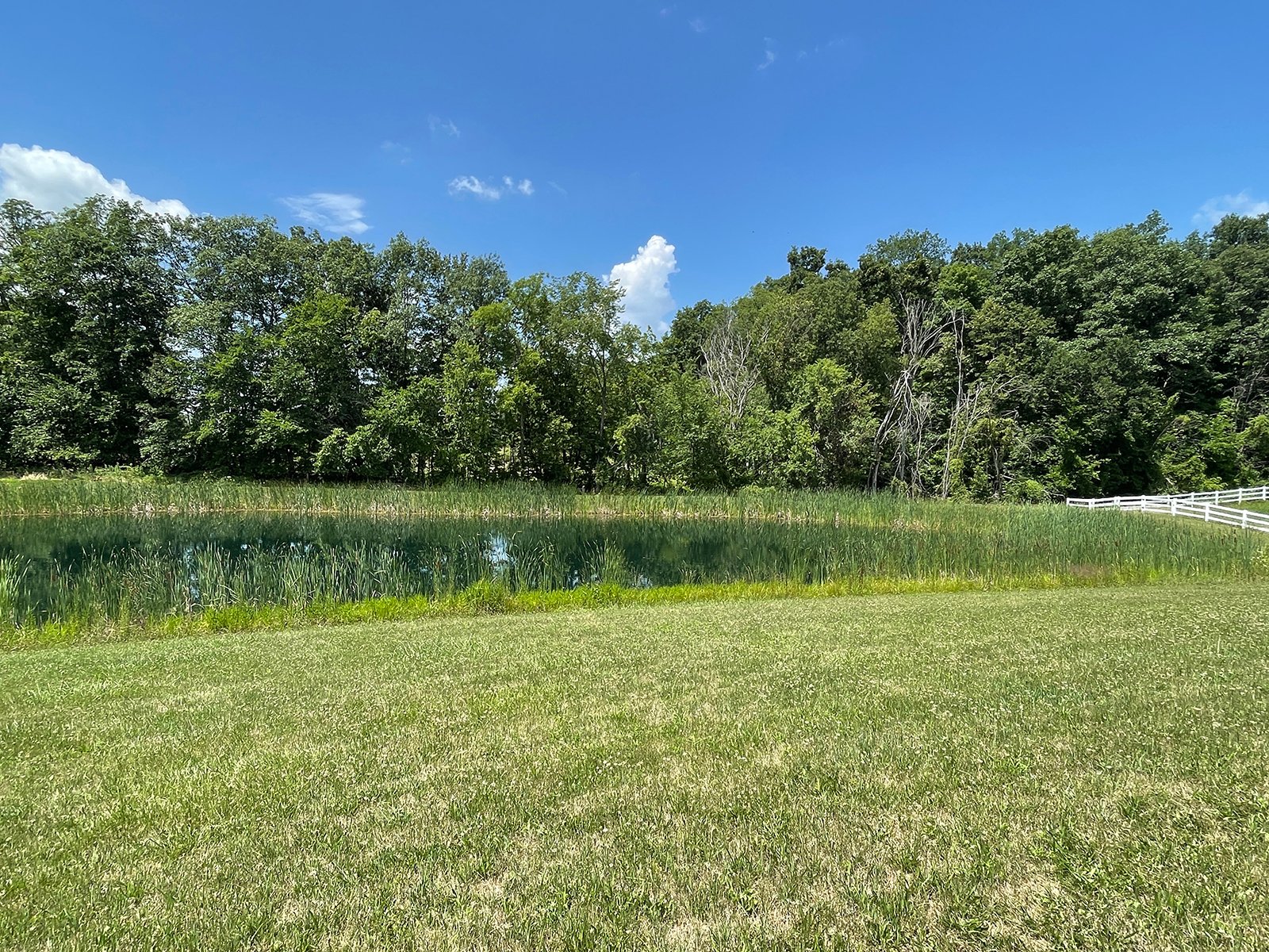Property photo 60 - LIVE ONSITE REAL ESTATE AUCTION - 11.8+/- ACRES - NOBLE COUNTY, IN
