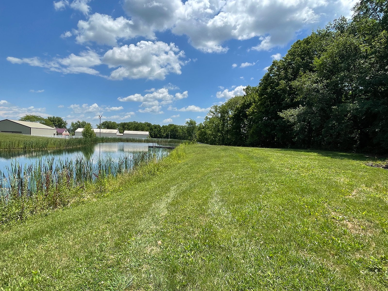 Property photo 61 - LIVE ONSITE REAL ESTATE AUCTION - 11.8+/- ACRES - NOBLE COUNTY, IN