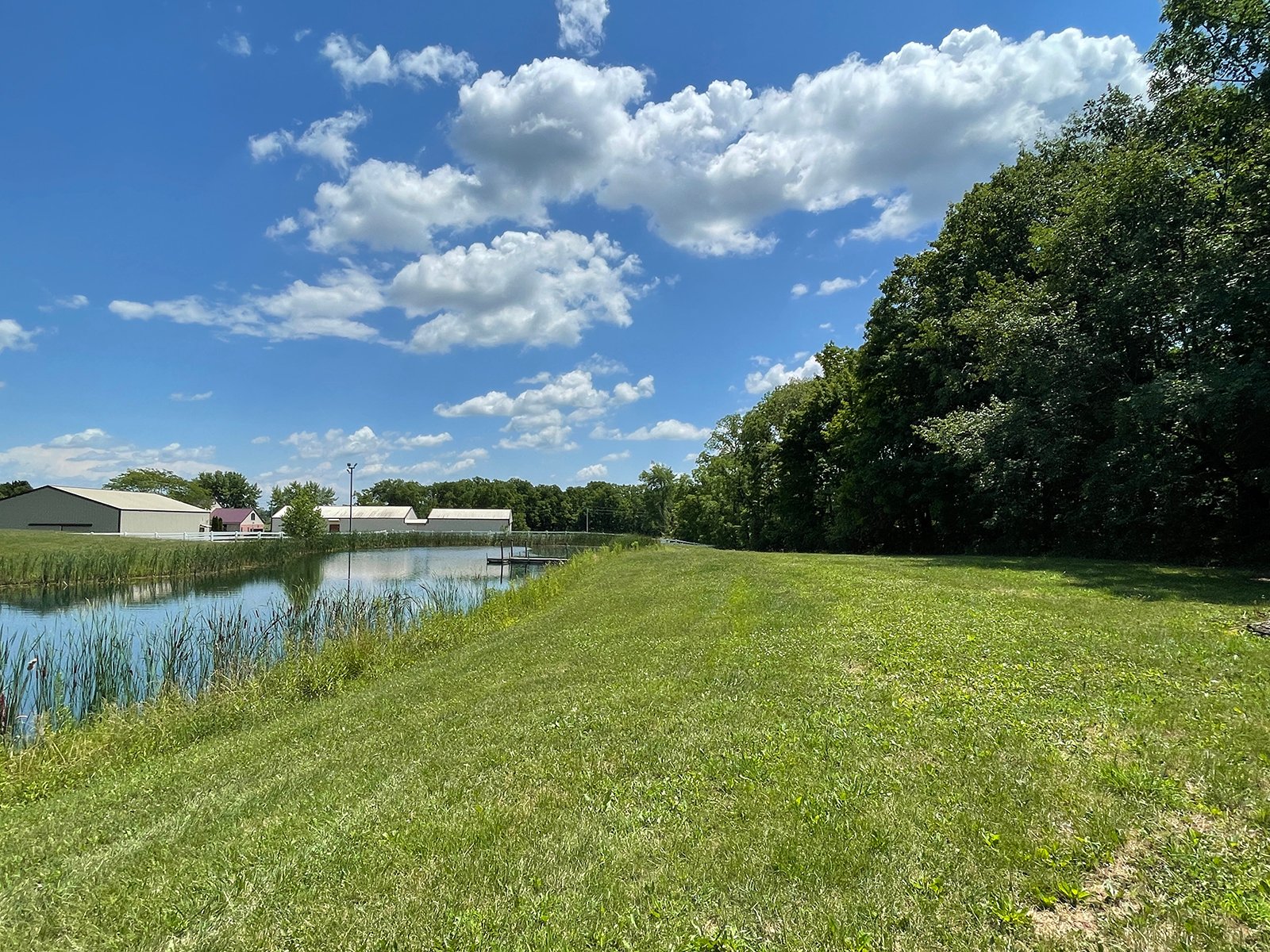 Property photo 62 - LIVE ONSITE REAL ESTATE AUCTION - 11.8+/- ACRES - NOBLE COUNTY, IN