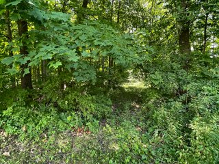 Property photo 63 - LIVE ONSITE REAL ESTATE AUCTION - 11.8+/- ACRES - NOBLE COUNTY, IN