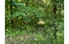 Property photo 63 - LIVE ONSITE REAL ESTATE AUCTION - 11.8+/- ACRES - NOBLE COUNTY, IN