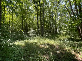 Property photo 64 - LIVE ONSITE REAL ESTATE AUCTION - 11.8+/- ACRES - NOBLE COUNTY, IN