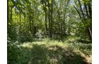 Property photo 64 - LIVE ONSITE REAL ESTATE AUCTION - 11.8+/- ACRES - NOBLE COUNTY, IN
