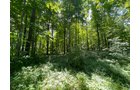 Property photo 65 - LIVE ONSITE REAL ESTATE AUCTION - 11.8+/- ACRES - NOBLE COUNTY, IN