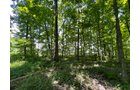 Property photo 110 - LIVE ONSITE REAL ESTATE AUCTION - 11.8+/- ACRES - NOBLE COUNTY, IN
