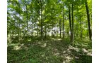 Property photo 113 - LIVE ONSITE REAL ESTATE AUCTION - 11.8+/- ACRES - NOBLE COUNTY, IN