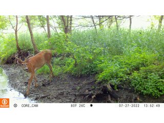 Property photo 30 - LAND AUCTION - 253+/- ACRES OFFERED IN 10 TRACTS IN NOBLE COUNTY, INDIANA