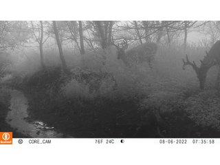 Property photo 27 - LAND AUCTION - 253+/- ACRES OFFERED IN 10 TRACTS IN NOBLE COUNTY, INDIANA