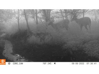 Property photo 26 - LAND AUCTION - 253+/- ACRES OFFERED IN 10 TRACTS IN NOBLE COUNTY, INDIANA
