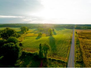 Property photo 1 - LAND AUCTION - 253+/- ACRES OFFERED IN 10 TRACTS IN NOBLE COUNTY, INDIANA