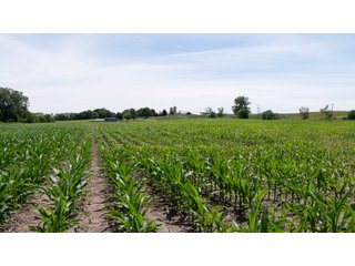 Tract 2-5 - LAND AUCTION - 253+/- ACRES OFFERED IN 10 TRACTS IN NOBLE COUNTY, INDIANA
