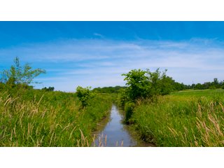Tract 34 - LAND AUCTION - 253+/- ACRES OFFERED IN 10 TRACTS IN NOBLE COUNTY, INDIANA