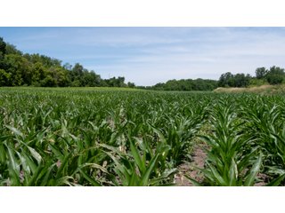 Tract 4-3 - LAND AUCTION - 253+/- ACRES OFFERED IN 10 TRACTS IN NOBLE COUNTY, INDIANA