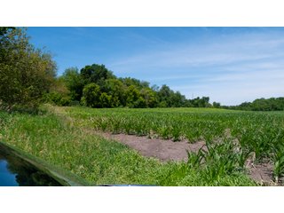 Tract 4 - LAND AUCTION - 253+/- ACRES OFFERED IN 10 TRACTS IN NOBLE COUNTY, INDIANA