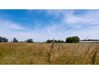 Tract 9-2 - LAND AUCTION - 253+/- ACRES OFFERED IN 10 TRACTS IN NOBLE COUNTY, INDIANA