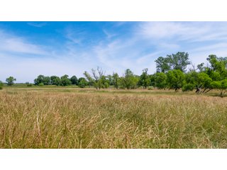 Tract 9-3 - LAND AUCTION - 253+/- ACRES OFFERED IN 10 TRACTS IN NOBLE COUNTY, INDIANA