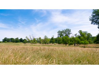 Tract 9-4 - LAND AUCTION - 253+/- ACRES OFFERED IN 10 TRACTS IN NOBLE COUNTY, INDIANA