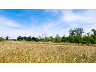 Tract 9-6 - LAND AUCTION - 253+/- ACRES OFFERED IN 10 TRACTS IN NOBLE COUNTY, INDIANA