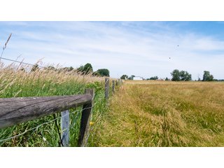 Tract 9 - LAND AUCTION - 253+/- ACRES OFFERED IN 10 TRACTS IN NOBLE COUNTY, INDIANA
