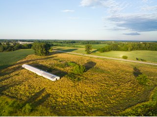 Tract 9 - LAND AUCTION - 253+/- ACRES OFFERED IN 10 TRACTS IN NOBLE COUNTY, INDIANA