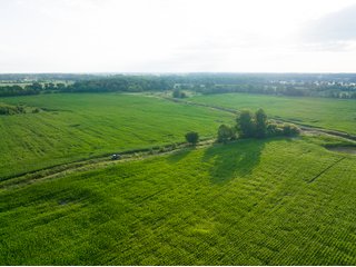 tract 1-3 - LAND AUCTION - 253+/- ACRES OFFERED IN 10 TRACTS IN NOBLE COUNTY, INDIANA