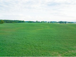 Tract 5-3 - LAND AUCTION - 253+/- ACRES OFFERED IN 10 TRACTS IN NOBLE COUNTY, INDIANA