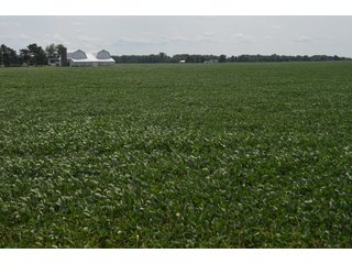 Property photo 22 - LAND AUCTION - 151+/- ACRES OFFERED IN 3 TRACTS - FULTON COUNTY, OHIO