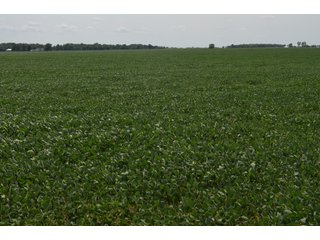 Property photo 23 - LAND AUCTION - 151+/- ACRES OFFERED IN 3 TRACTS - FULTON COUNTY, OHIO