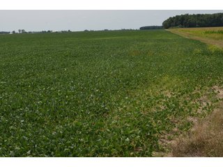 Property photo 24 - LAND AUCTION - 151+/- ACRES OFFERED IN 3 TRACTS - FULTON COUNTY, OHIO
