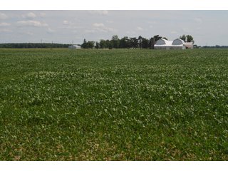 Property photo 25 - LAND AUCTION - 151+/- ACRES OFFERED IN 3 TRACTS - FULTON COUNTY, OHIO