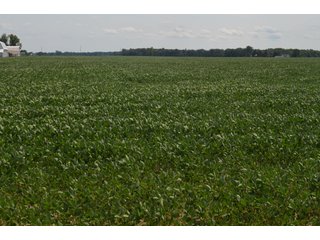 Property photo 26 - LAND AUCTION - 151+/- ACRES OFFERED IN 3 TRACTS - FULTON COUNTY, OHIO