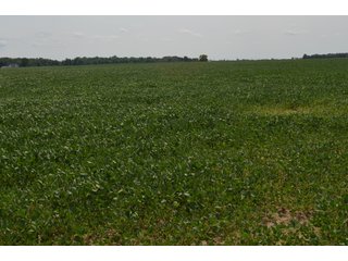 Property photo 27 - LAND AUCTION - 151+/- ACRES OFFERED IN 3 TRACTS - FULTON COUNTY, OHIO