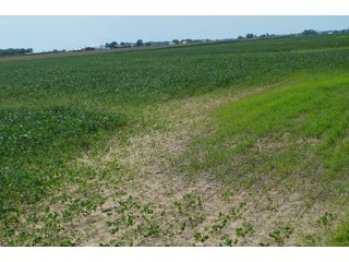 Property photo 34 - LAND AUCTION - 151+/- ACRES OFFERED IN 3 TRACTS - FULTON COUNTY, OHIO
