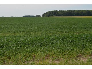 Property photo 35 - LAND AUCTION - 151+/- ACRES OFFERED IN 3 TRACTS - FULTON COUNTY, OHIO