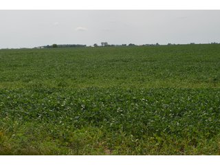 Property photo 36 - LAND AUCTION - 151+/- ACRES OFFERED IN 3 TRACTS - FULTON COUNTY, OHIO