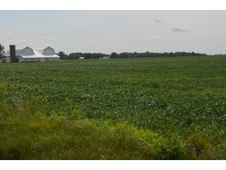 Property photo 37 - LAND AUCTION - 151+/- ACRES OFFERED IN 3 TRACTS - FULTON COUNTY, OHIO