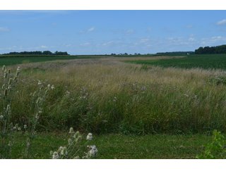 Property photo 38 - LAND AUCTION - 151+/- ACRES OFFERED IN 3 TRACTS - FULTON COUNTY, OHIO