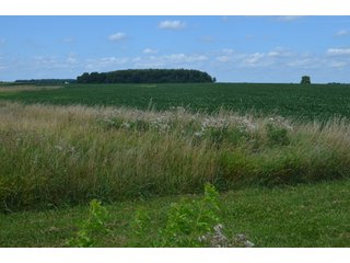 Property photo 30 - LAND AUCTION - 151+/- ACRES OFFERED IN 3 TRACTS - FULTON COUNTY, OHIO